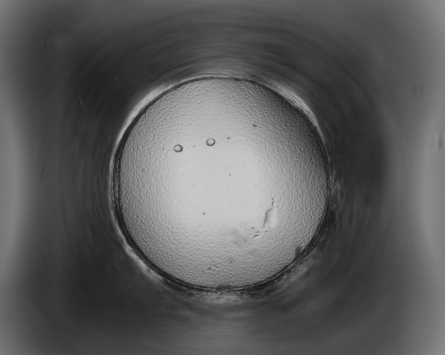 X0000086081103200704132057