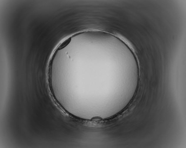 X0000086081104200704132057