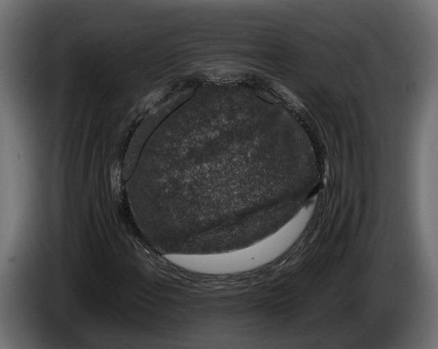 X0000086081108200704132056