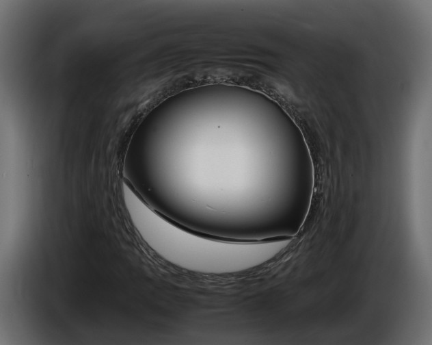 X0000086081109200704132056