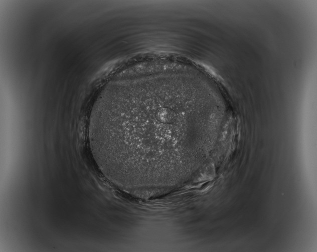 X0000086081110200704132056