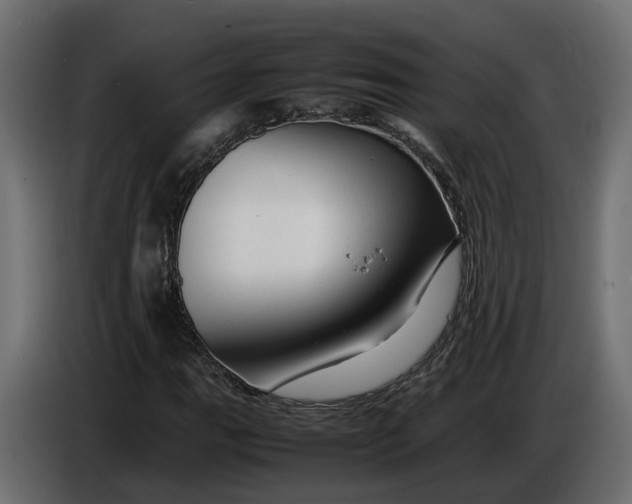 X0000086081111200704132056