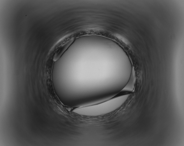 X0000086081112200704132056