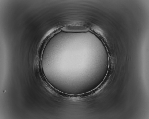 X0000086081114200704132056