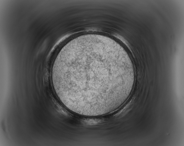 X0000086081115200704132056