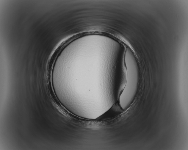 X0000086081116200704132056