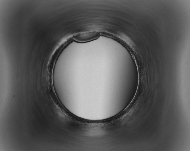 X0000086081118200704132056