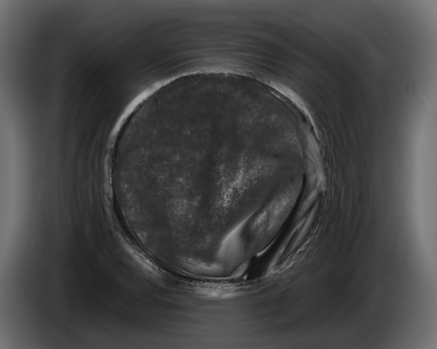 X0000086081120200704132056