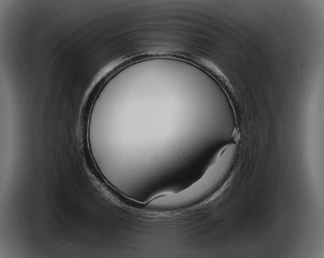 X0000086081122200704132056