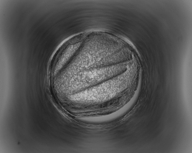 X0000086081124200704132057