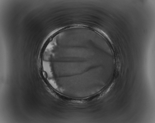 X0000086081125200704132057