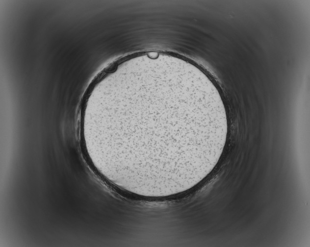 X0000086081126200704132057