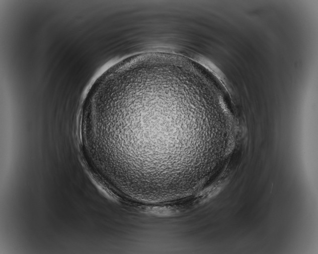 X0000086081128200704132057