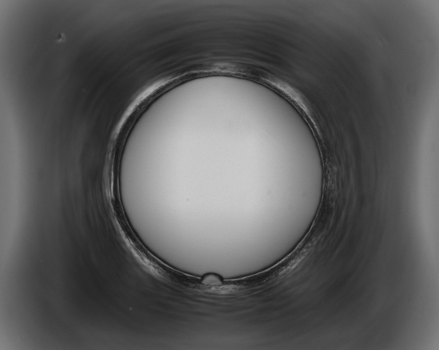 X0000086081131200704132057