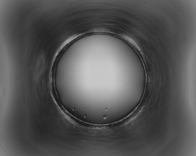 X0000086081133200704132057