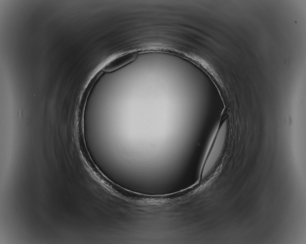 X0000086081134200704132057