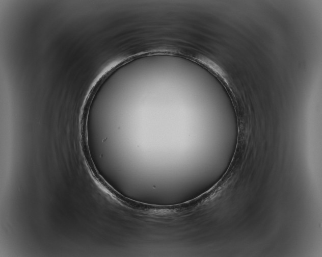 X0000086081135200704132057