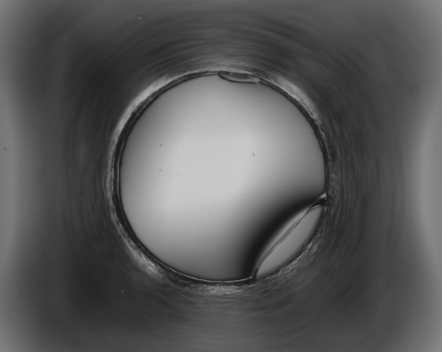 X0000086081136200704132057