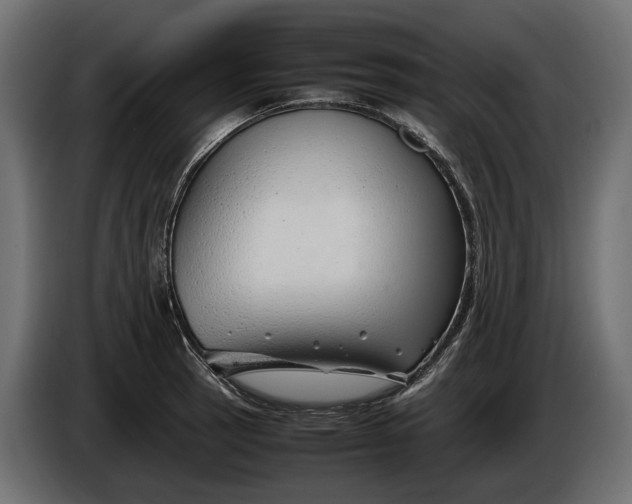 X0000086081137200704132057