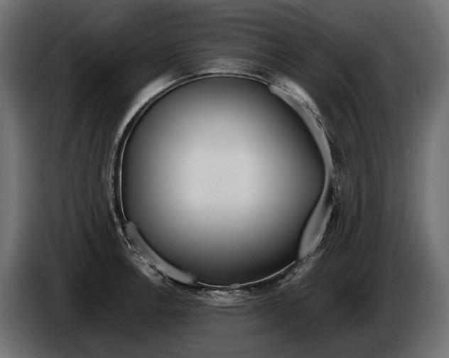 X0000086081138200704132057