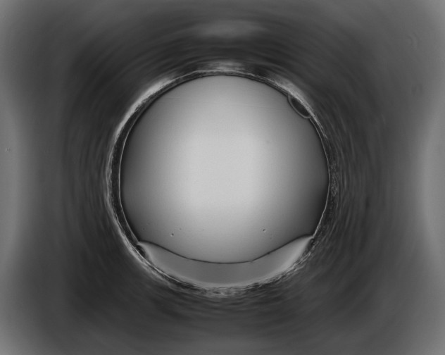 X0000086081139200704132057