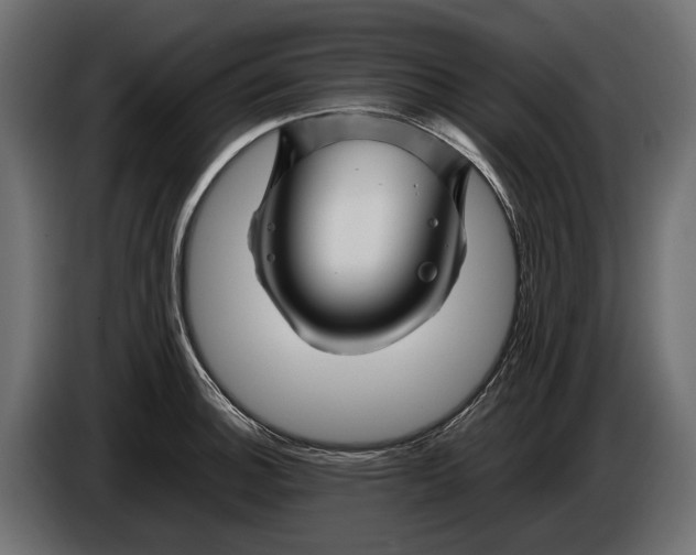 X0000086081140200704132057