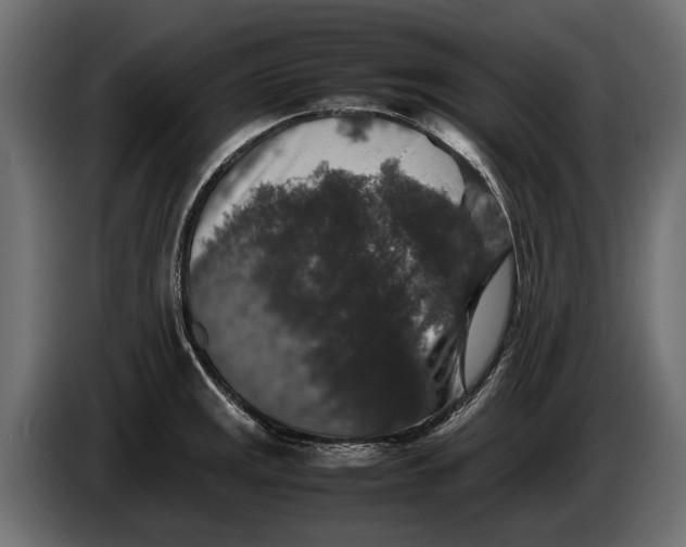 X0000086081141200704132057