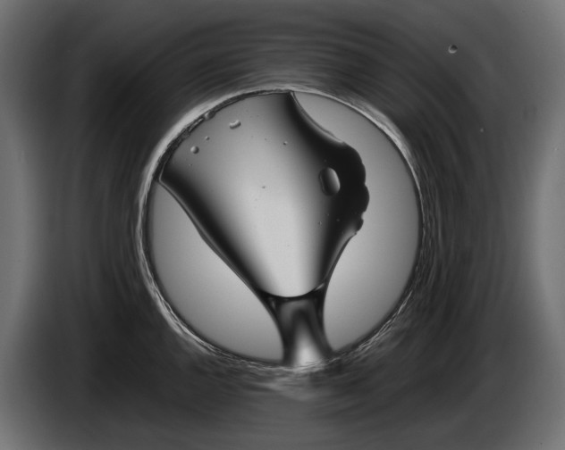 X0000086081144200704132057