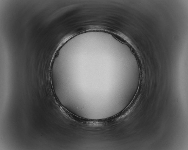 X0000086081145200704132057