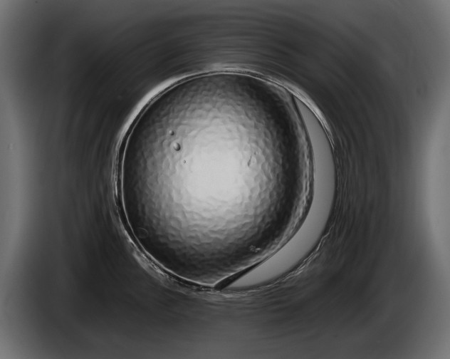 X0000086081148200704132057