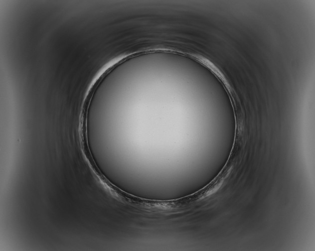 X0000086081149200704132057