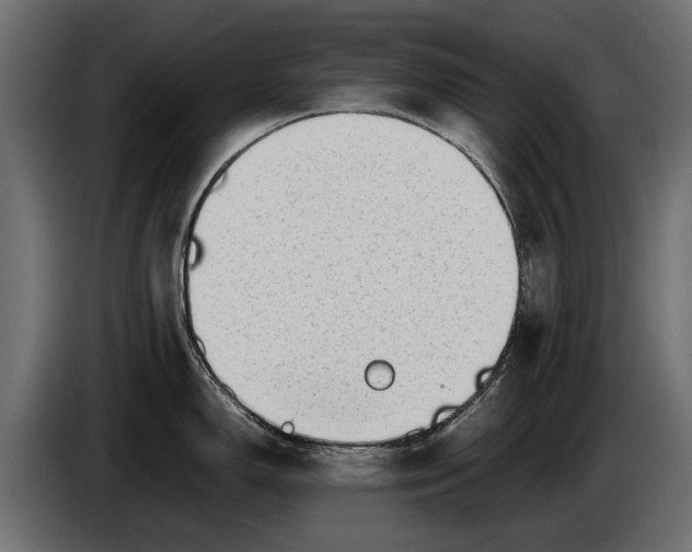 X0000086081150200704132057