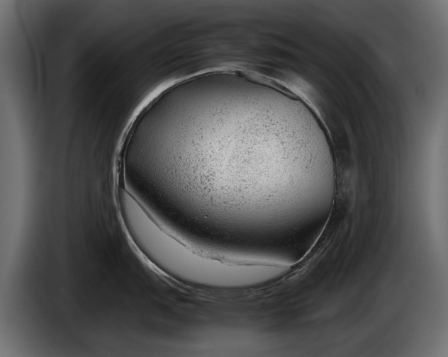 X0000086081151200704132057