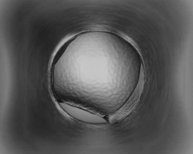 X0000086081152200704132057