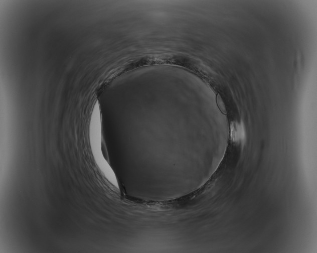 X0000086081155200704132056