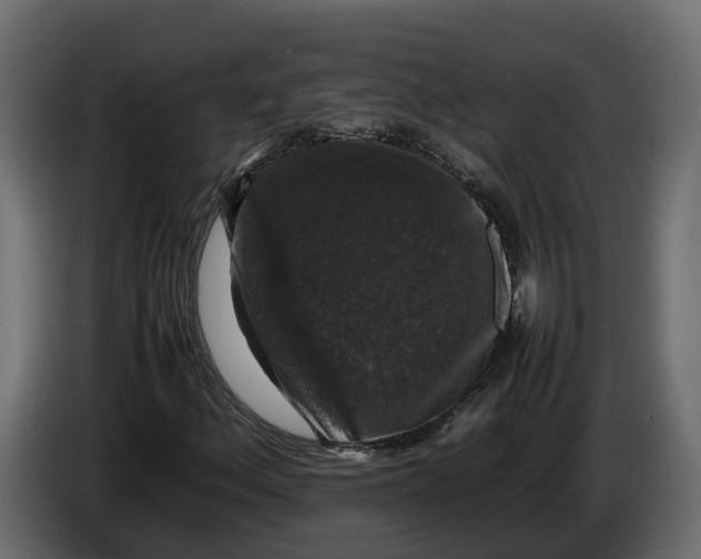 X0000086081156200704132056