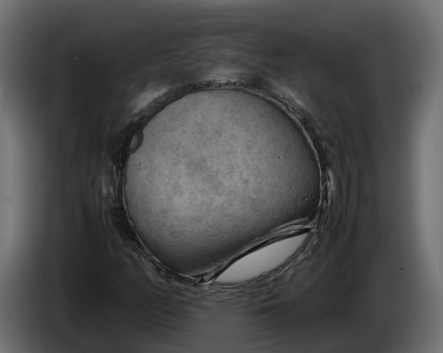 X0000086081158200704132056