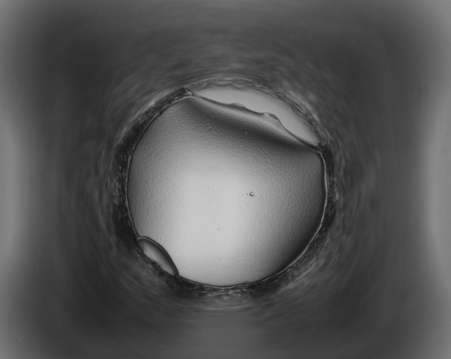 X0000086081159200704132056