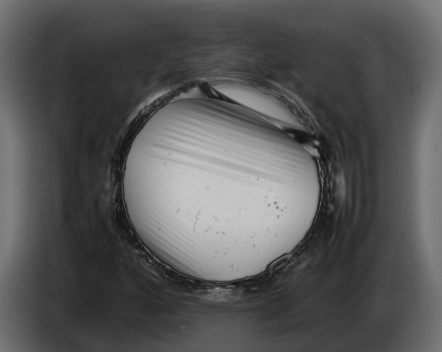 X0000086081160200704132056