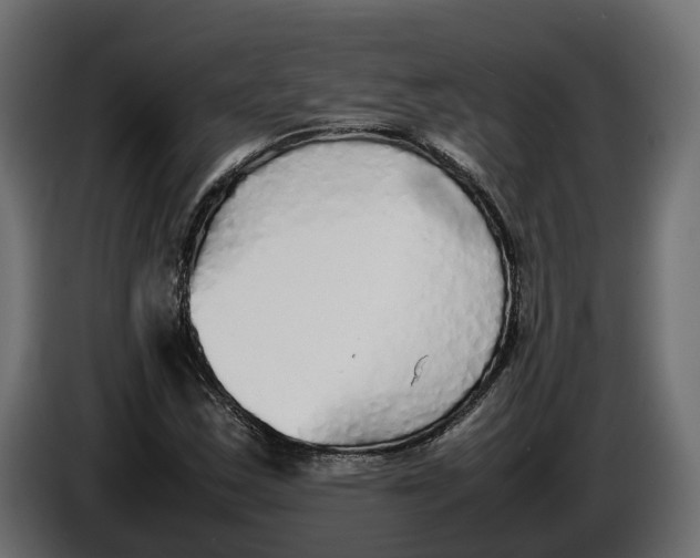 X0000086081163200704132056