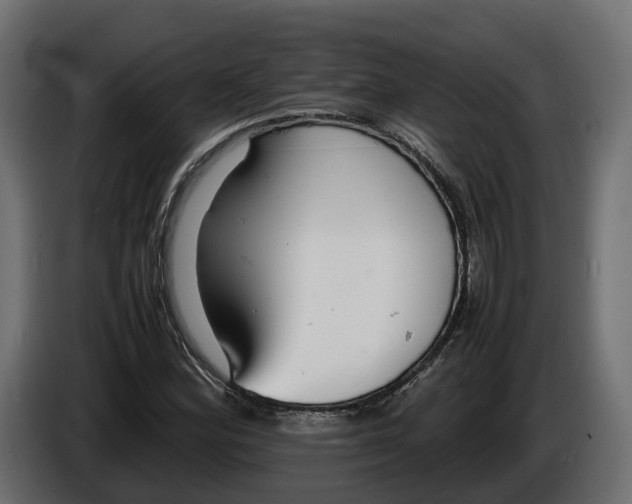 X0000086081164200704132056