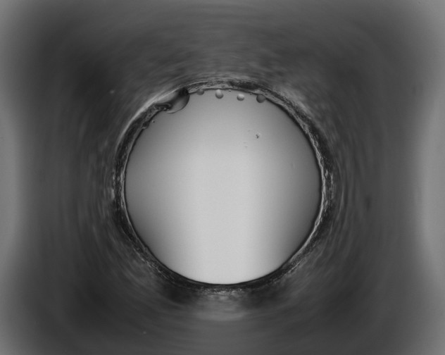 X0000086081165200704132056