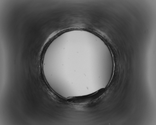 X0000086081168200704132056