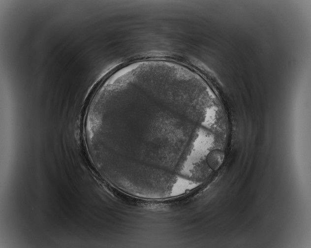 X0000086081170200704132056