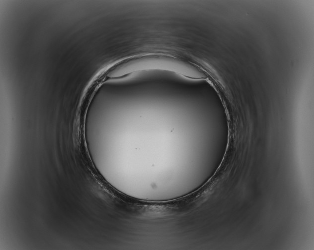 X0000086081172200704132056