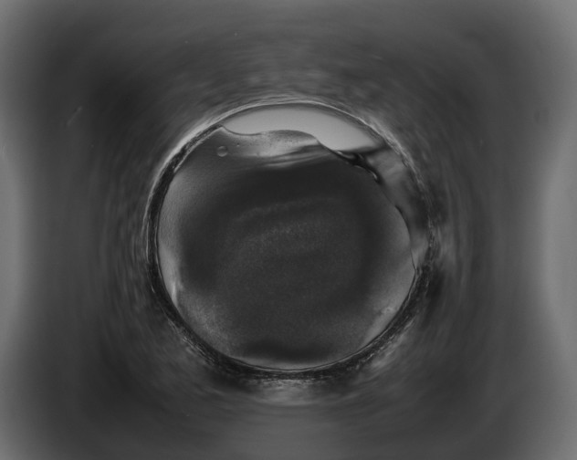 X0000086081173200704132056