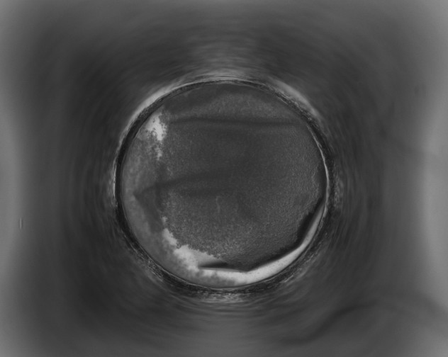 X0000086081174200704132056