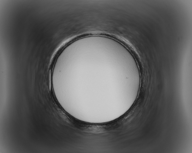 X0000086081175200704132056