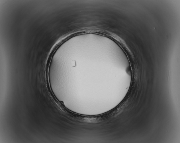 X0000086081176200704132056