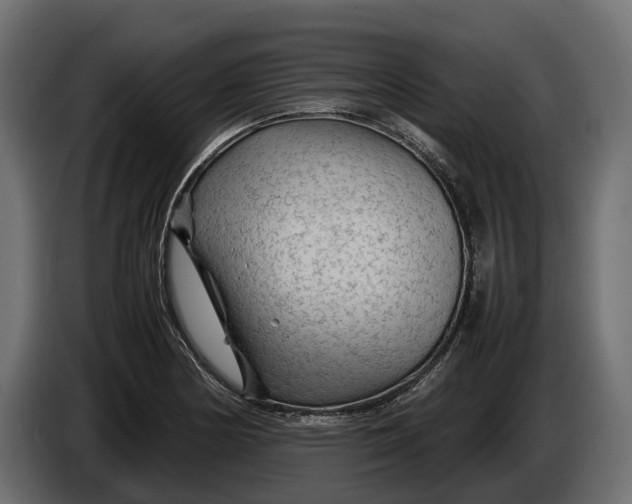 X0000086081178200704132056